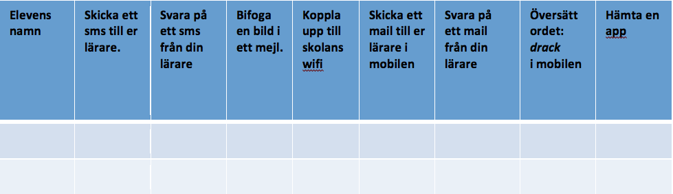 Bild 3: Observationsprotokoll.